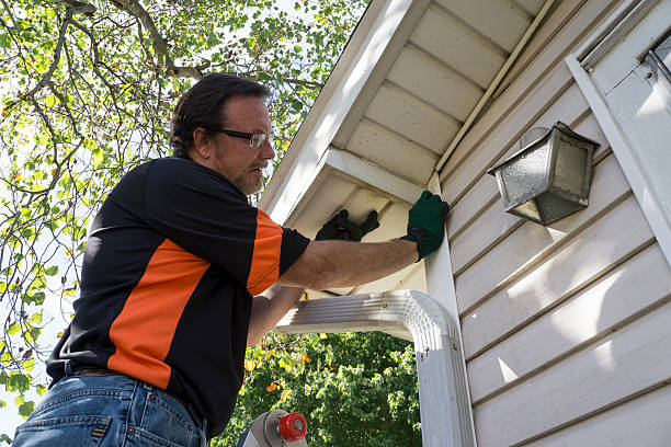 Best Carpet Removal and Disposal  in Munford, AL